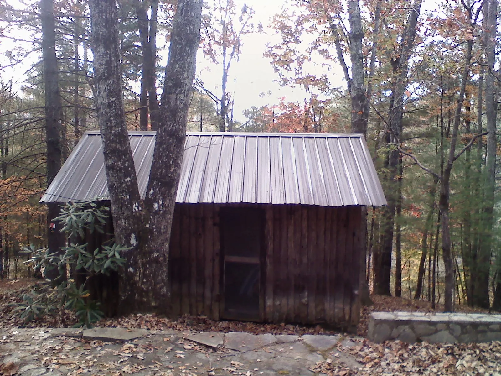 New metal gable roof on a small log shed among the trees in Mount Sterling